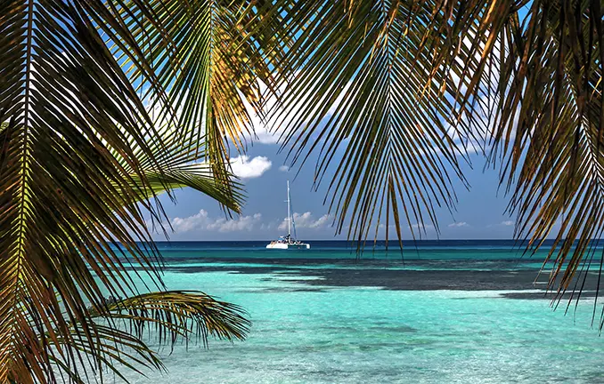 Palmen, exotischer Strand und Katamaran segeln