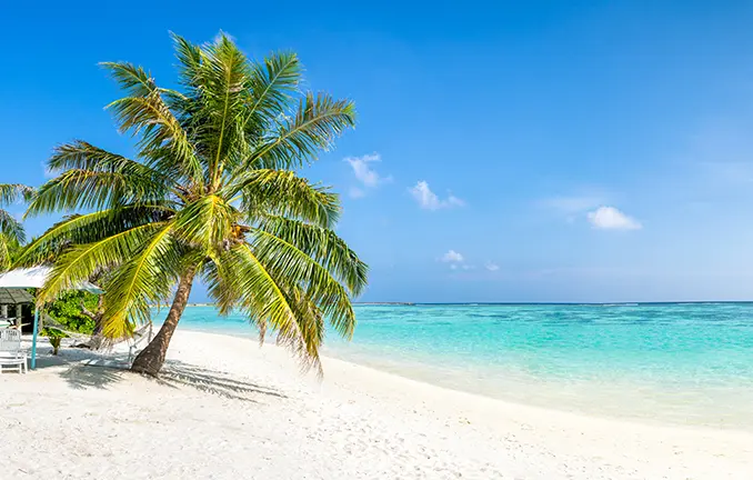 Traumziel für Ihre Yachtcharter - tropischer Strand
