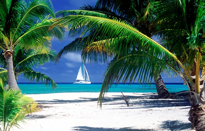 Yachtcharter Karibik: Strand - Palmen - Segelyacht